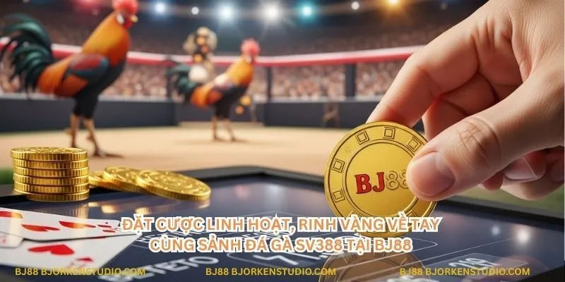 Đặt cược linh hoạt, rinh vàng về tay cùng sảnh đá gà SV388 tại BJ88. Chơi ngay để nhận những phần thưởng hấp dẫn!